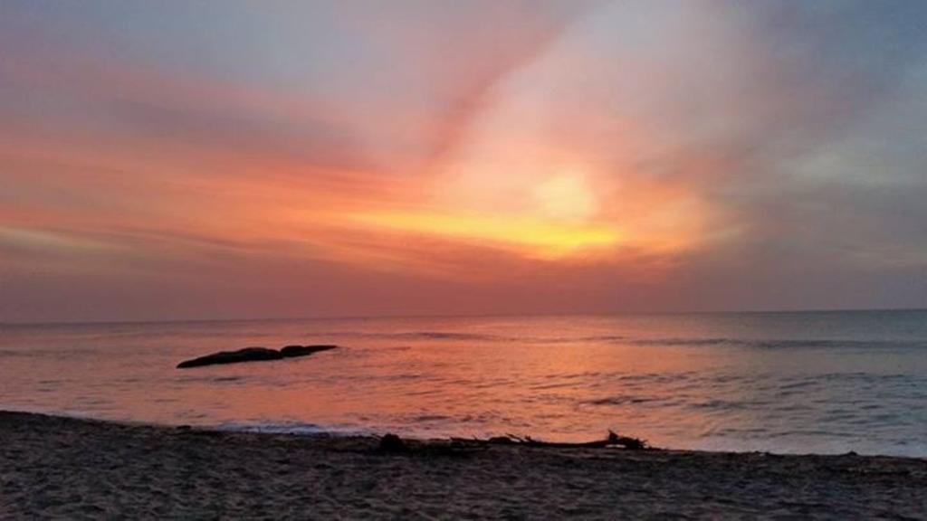 Surf Bay Resort アルガムベイ エクステリア 写真